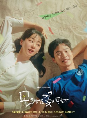 Цветы расцветают даже на песке